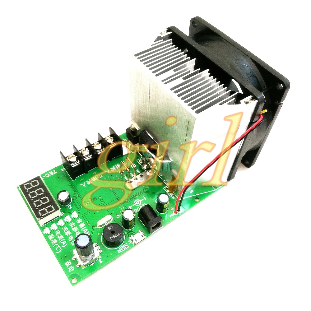 Battery capacity tester, elect - Battery Load Tester 评论和价格